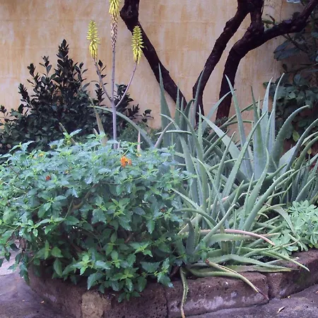 Couette-café Dimora Degli Ulivi 4*