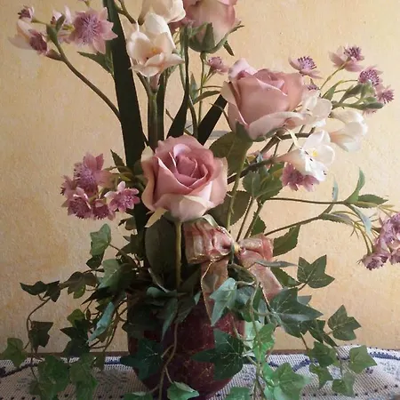 Couette-café Dimora Degli Ulivi