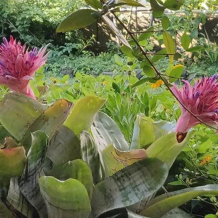 Dimora Degli Ulivi Panzió 4*