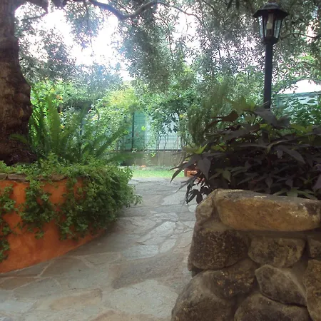 Bed & Breakfast Dimora Degli Ulivi
