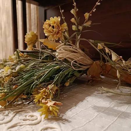 ベッド・アンド・ブレックファスト Dimora Degli Ulivi ムラヴェーラ