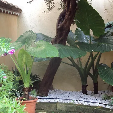 Bed & Breakfast Dimora Degli Ulivi *
